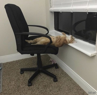 анекдоты №10