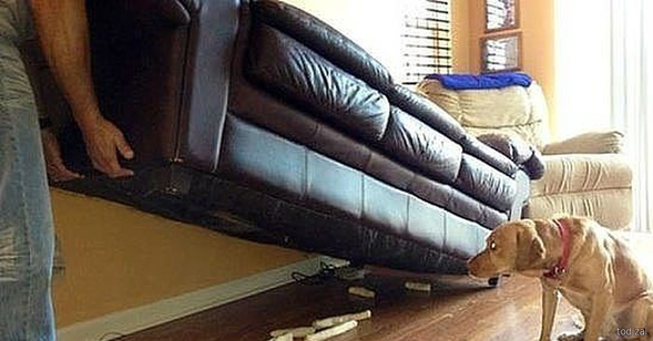 Анекдоты №1 4