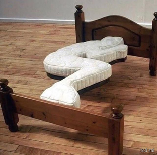 Скажите, а ваша собака меня не съест?