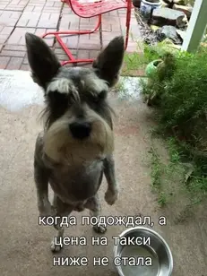 подборка №1