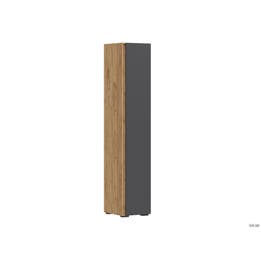 Распашной шкаф todzal Ирэн Дуб Крафт золотой / Графит серый Дуб Крафт золотой / Графит серый