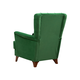 Кресло todzal Ирис Зеленый, велюр Пластик
