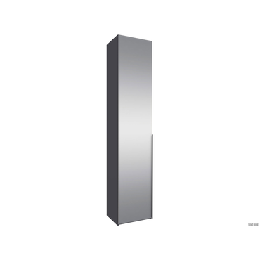 Распашной шкаф todzal Бриана Серый уголь С зеркалом