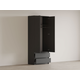 Распашной шкаф СВ-Мебель Тайлер Графит Графит